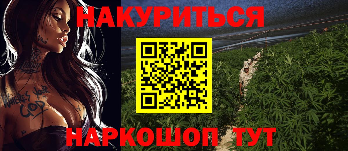 Марихуана план  Марихуана конопля  Родники  Вход с VPN 